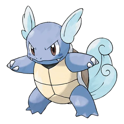 Wartortle artwork