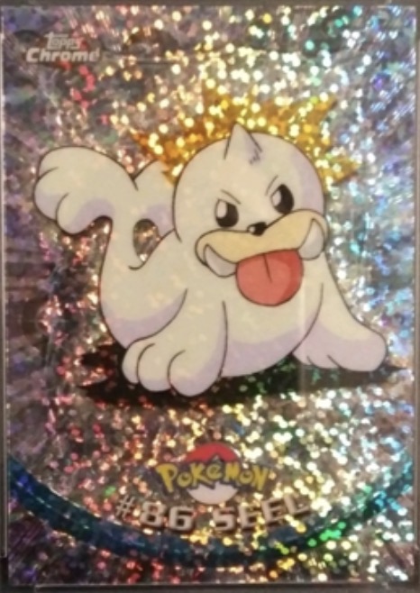 Seel