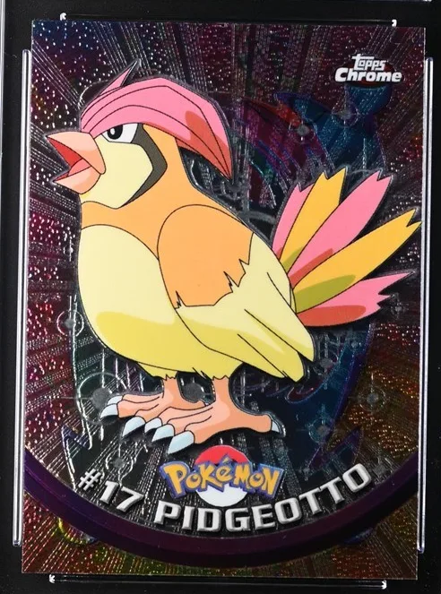 Pidgeotto