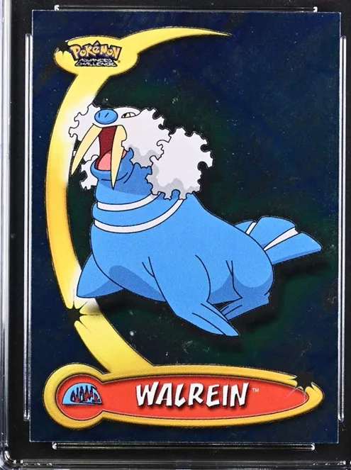 Walrein