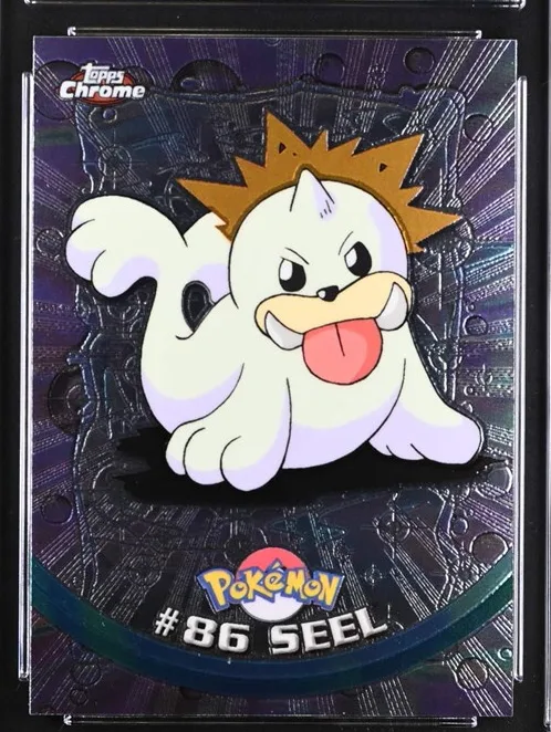 Seel