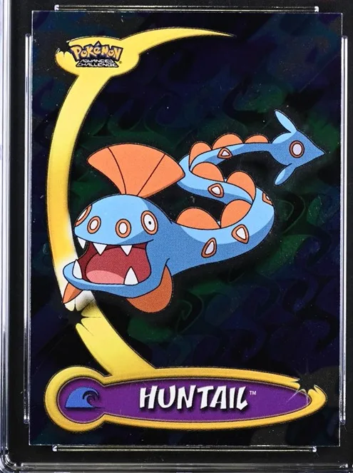 Huntail