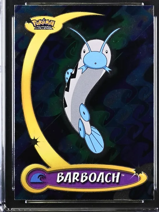 Barboach