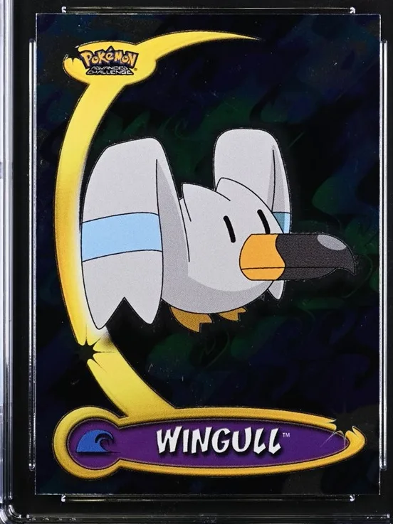 Wingull