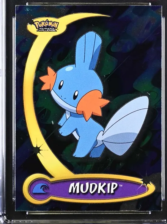 Mudkip