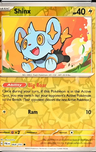 Shinx