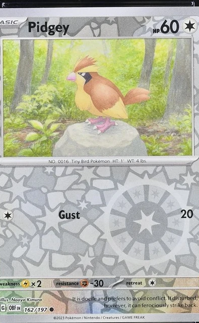 Pidgey