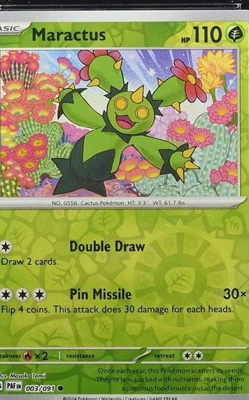 Maractus