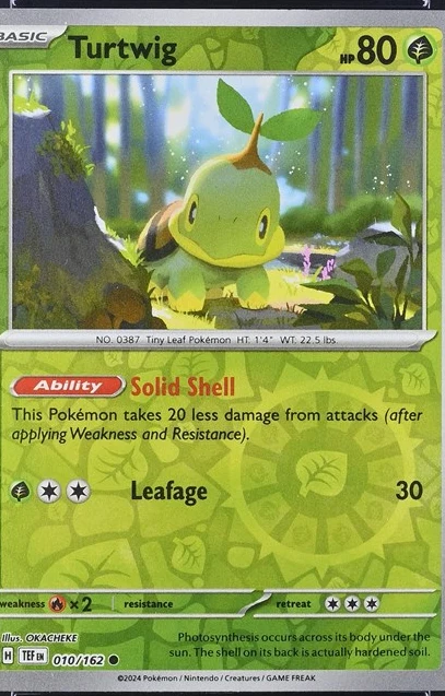 Turtwig