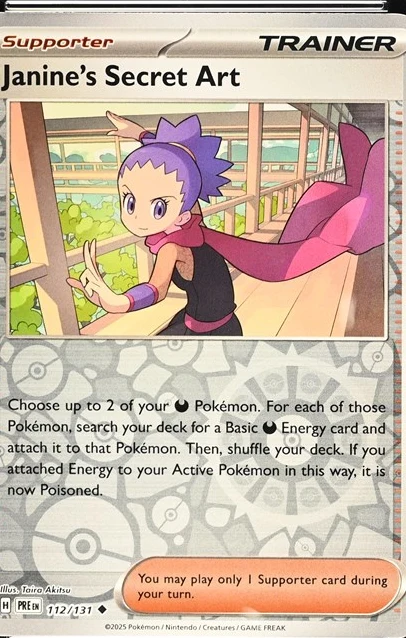 Janine's Secret Art