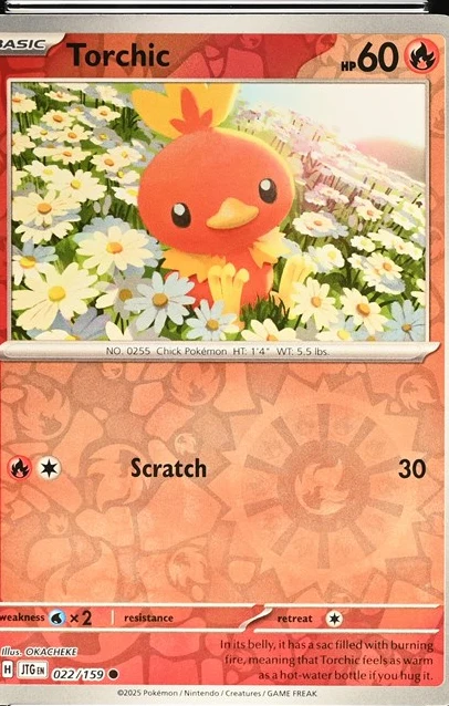 Torchic