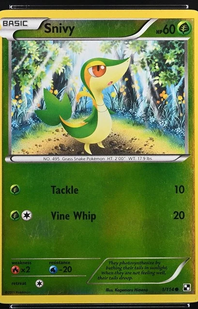 Snivy