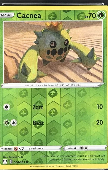 Cacnea
