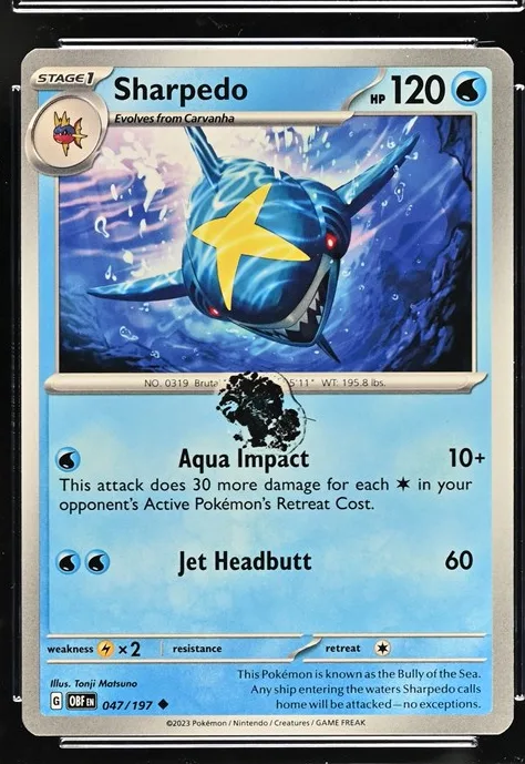 Sharpedo