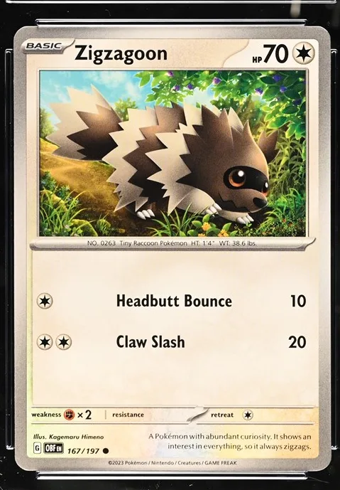 Zigzagoon