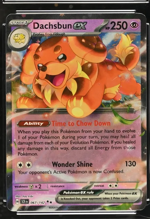 Dachsbun ex