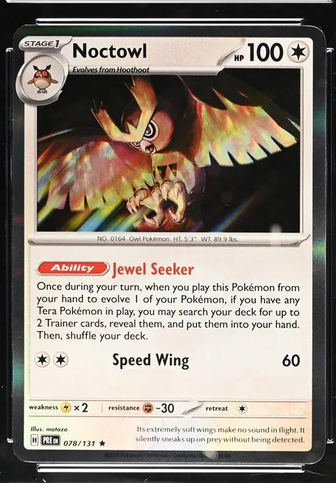 Noctowl