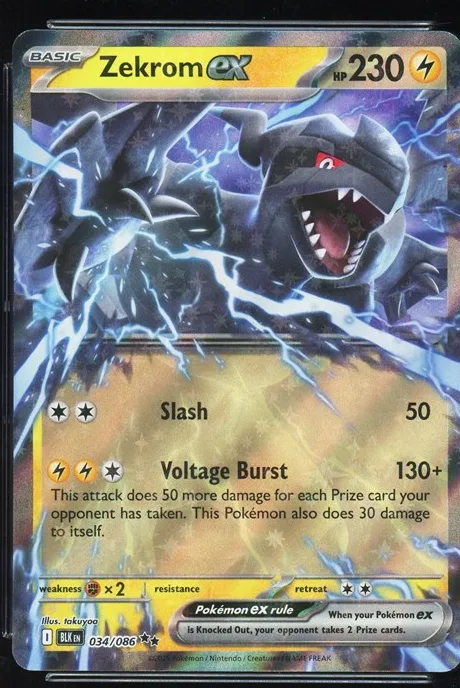 Zekrom ex