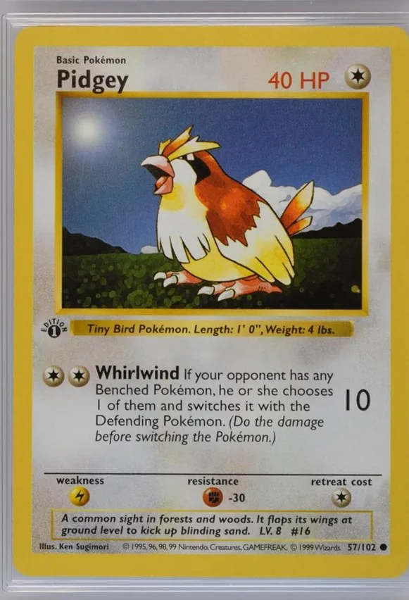 Pidgey