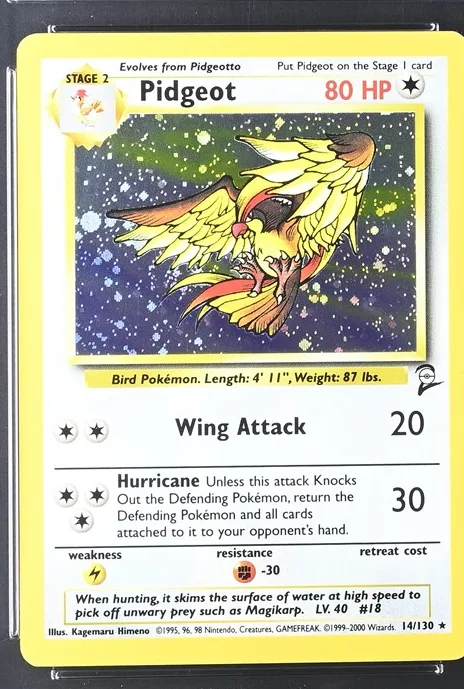Pidgeot