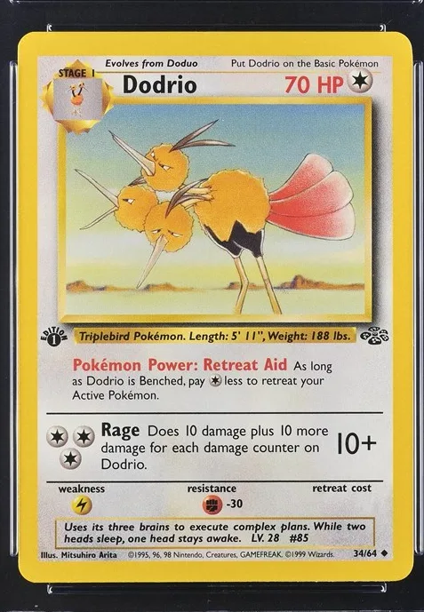 Dodrio