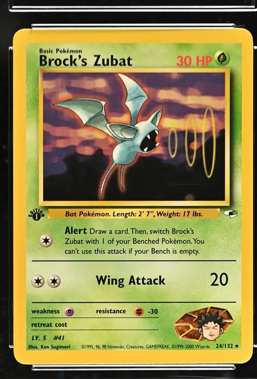 Brock's Zubat