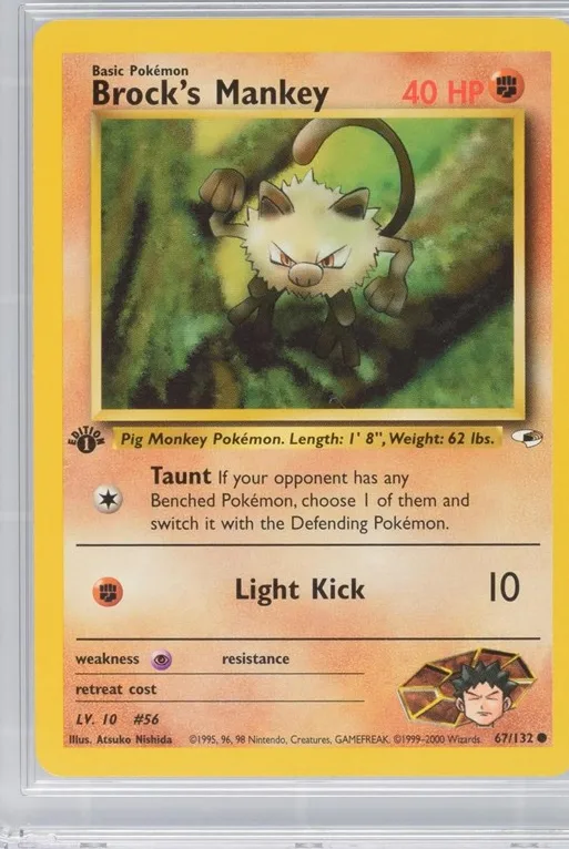 Brock's Mankey
