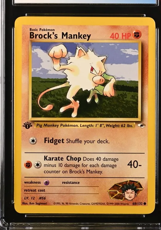 Brock's Mankey