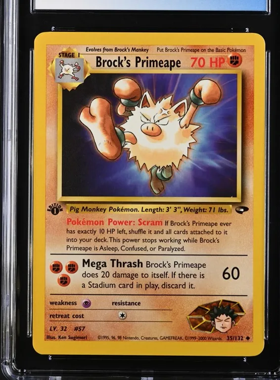 Brock's Primeape