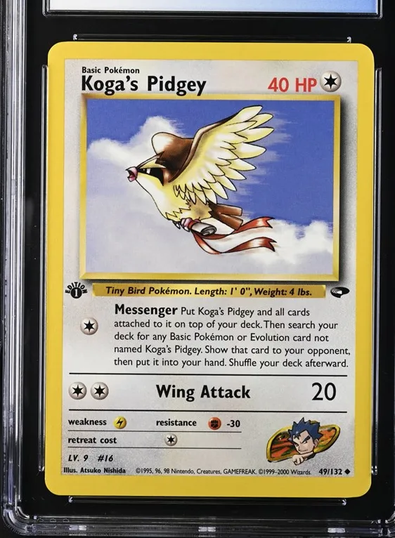 Koga's Pidgey