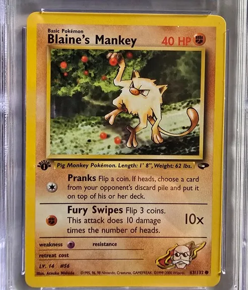 Blaine's Mankey