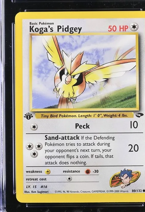 Koga's Pidgey