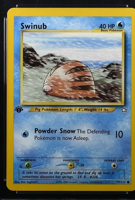 Swinub