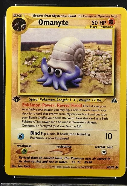 Omanyte