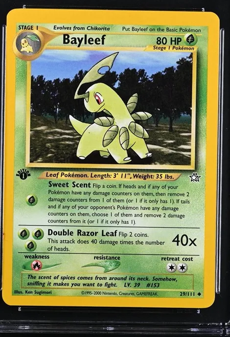 Bayleef