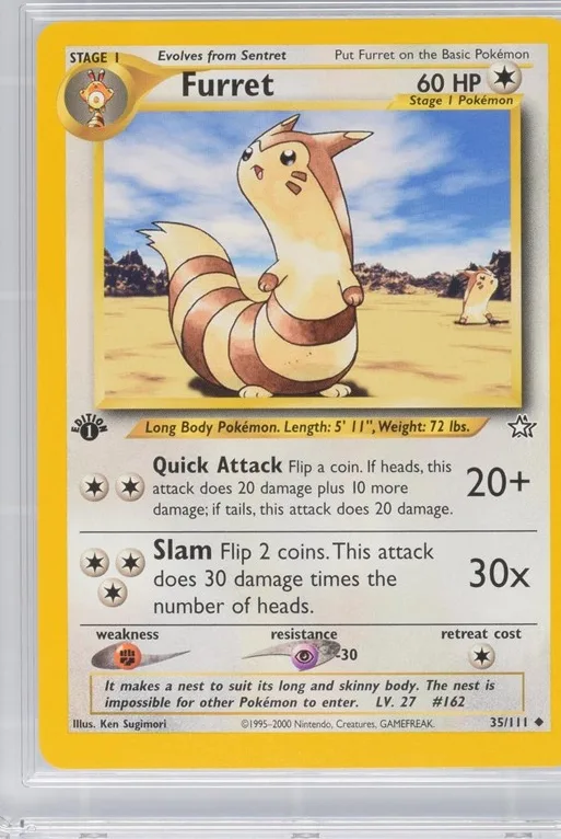 Furret
