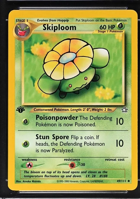 Skiploom