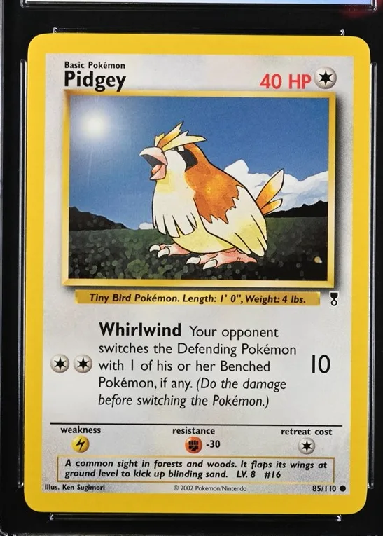 Pidgey