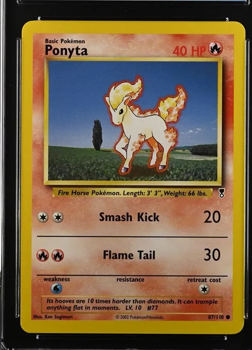 Ponyta