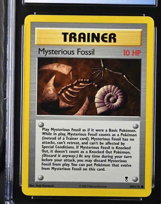 Mysterious Fossil