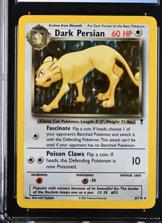 Dark Persian