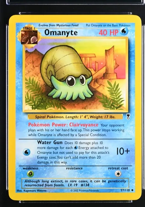Omanyte