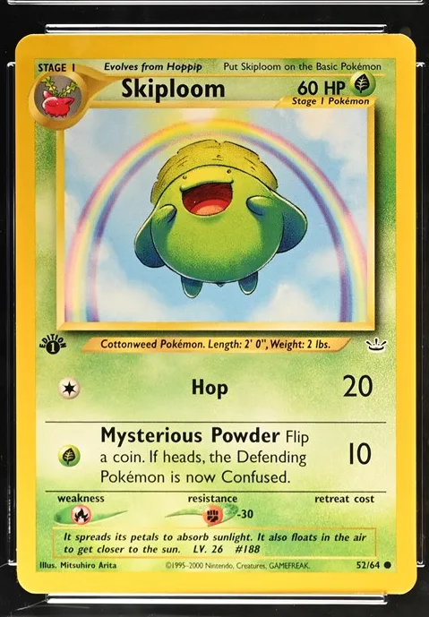 Skiploom