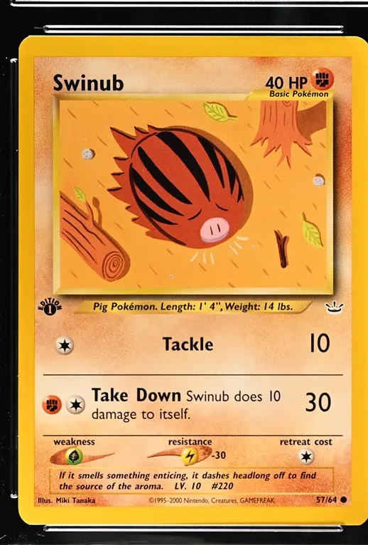 Swinub