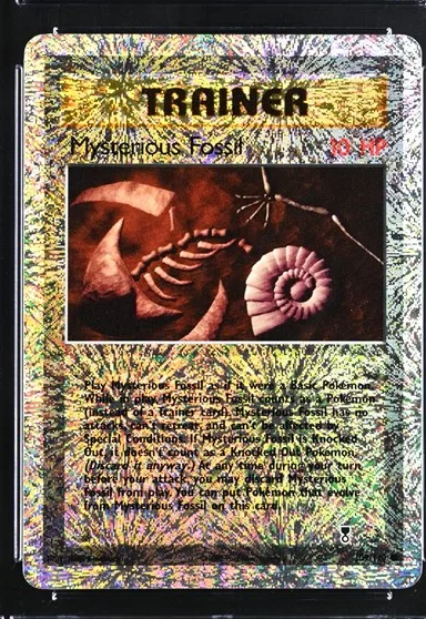 Mysterious Fossil