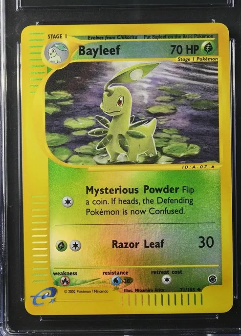 Bayleef