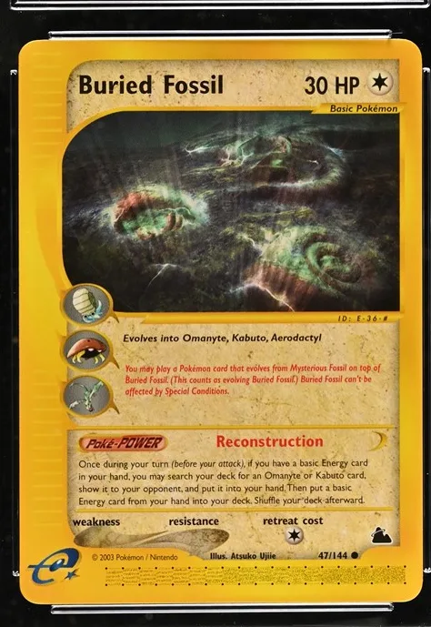 Buried Fossil