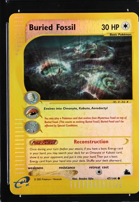 Buried Fossil