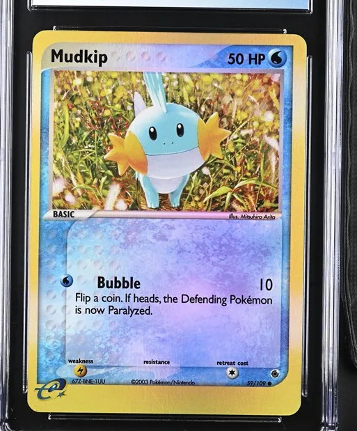 Mudkip