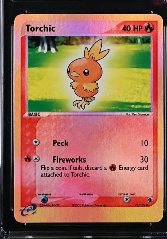 Torchic